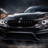 Bmw hűtőrácsok vesék